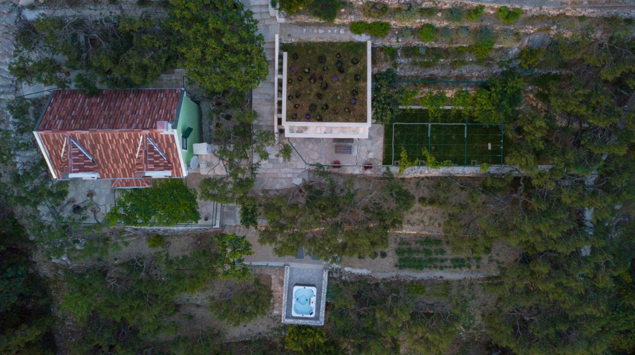 Villa Pelargonia Makarska Exteriör bild
